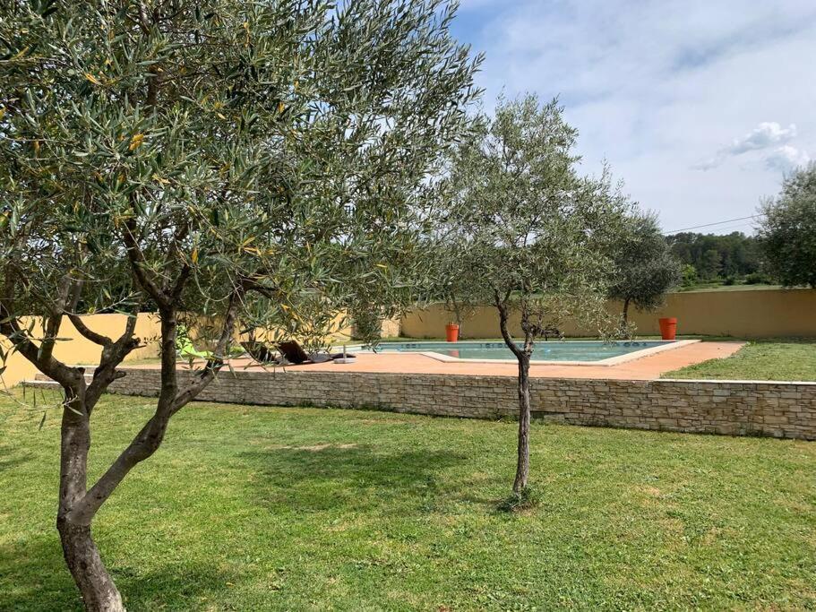 Loue Studio Dans Une Villa Avec Piscine Terrasse Saint-Theodorit Exteriér fotografie